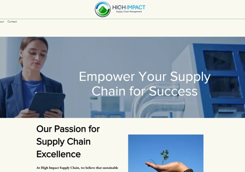 Website and Logo Development