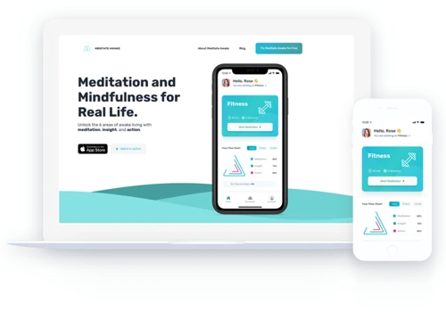 Meditate Awake