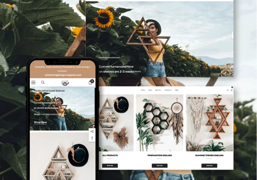 Website and e-commerce development on Shopify