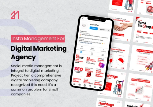 Instagram Management for Software Company