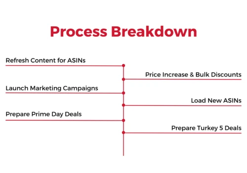 37% Increase in Amazon Conversions for Large Brand