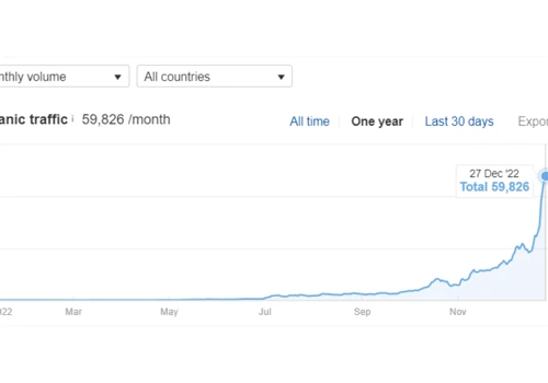 We Grew SaaS AI Tool from 0 - 60K Monthly Visits