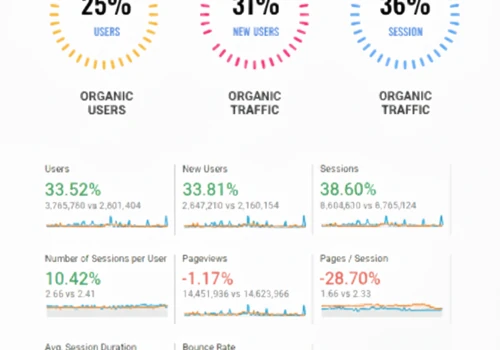 SEO Campaing Traffic