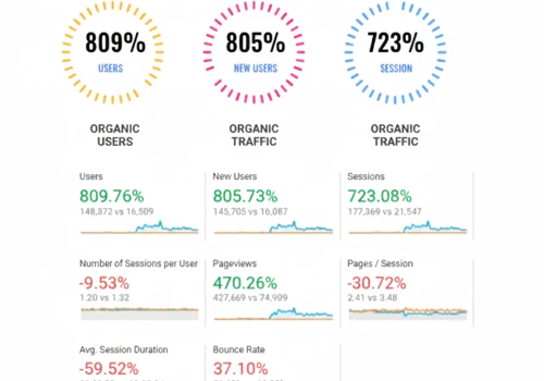 SEO Campaign Traffic