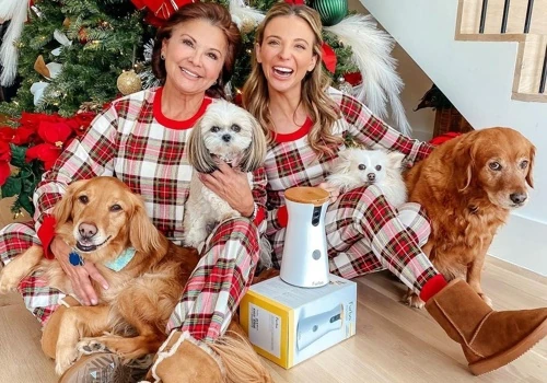 Driving Leads and Acquisition for eComm Dog Brand