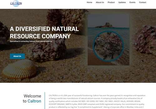 SEO for Caltron Clays