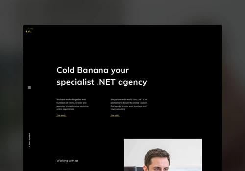 Cold Banana / Website Design
