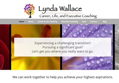 Life Coach