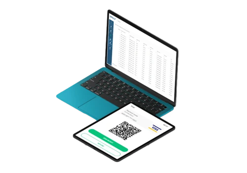 Delivery of SoftPOS services