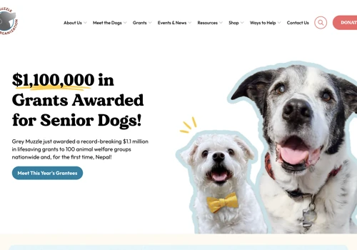 UX Design & Drupal Upgrade for Grey Muzzle