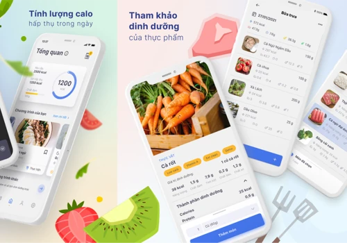 Fit Mode - UI & UX Design