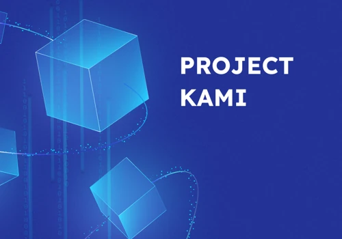 Kami project