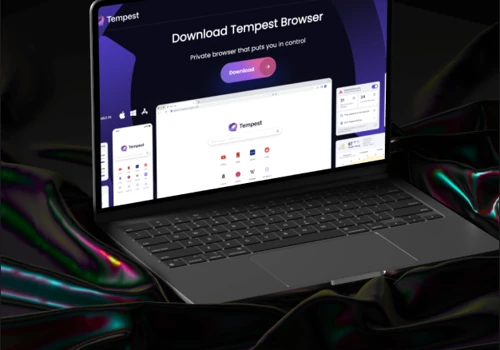 Team extension services for Privacy Company