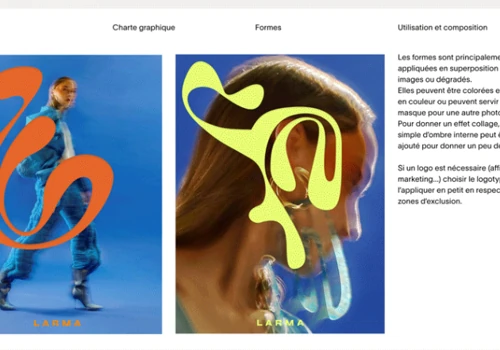 Visual Identity & Website Development for Larma