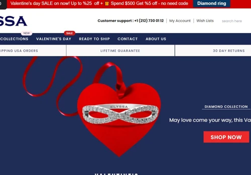 Shopify Ecommece Web Installion Process
