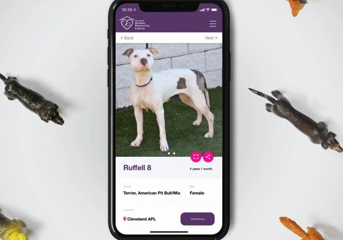 Cleveland APL Mobile App