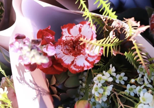 The Posy Post: From Confusion to 14x Growth