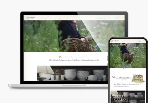 BtoC e-commerce