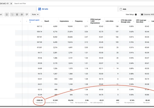 100 Leads in 30 Days at a €3 CPL