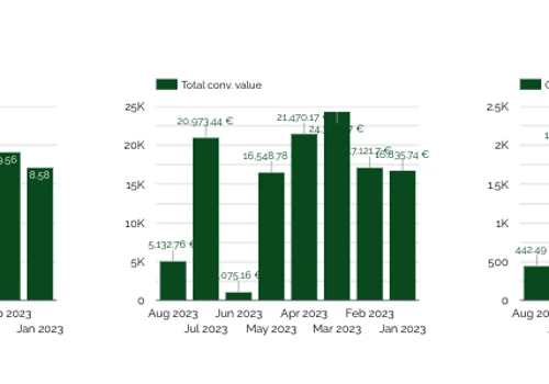 5 Months - 10x ROAS on Google Ads