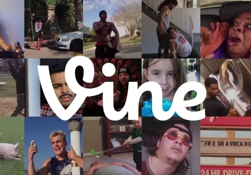 Vine