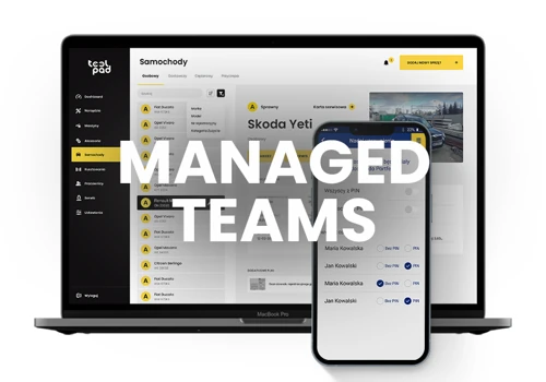 Managed Team Projects