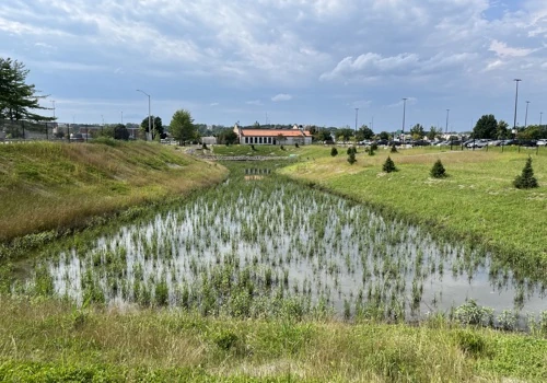 Long Creek South Branch