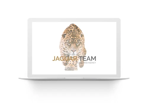 Jaguar - Team