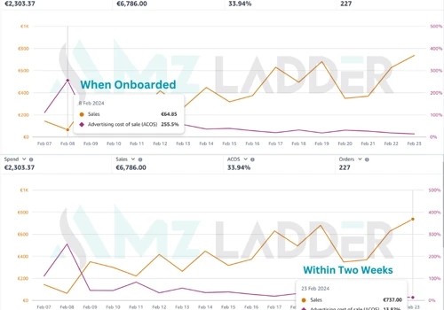 Amazon PPC Optimization