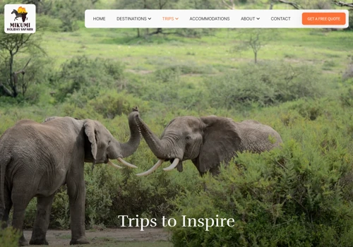 Website Redesign