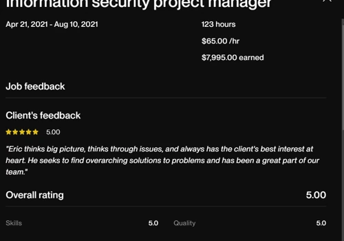 Information security project manager