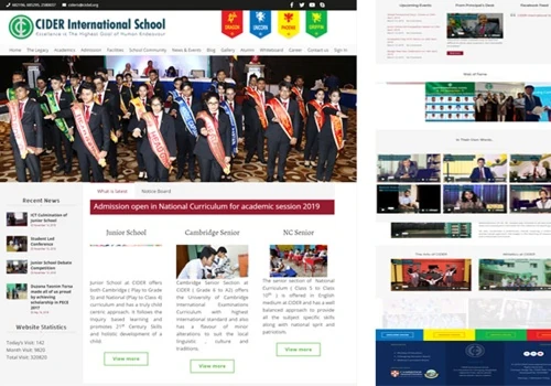 Web Design and Development