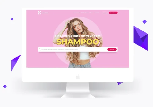 Case study Knowde Online Chemical Marketplace