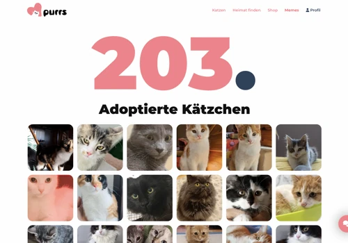 Cat adoption platform
