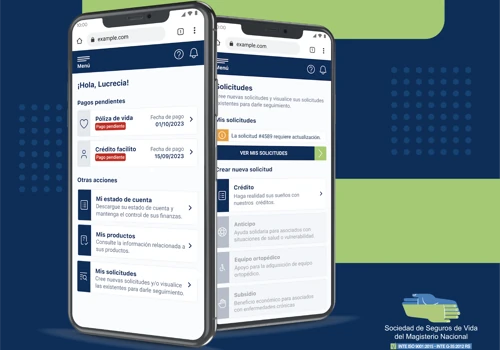 UX Strategy for Sociedad de Seguros de Vida