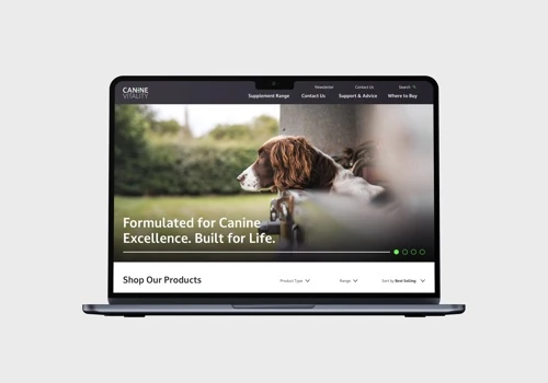 A Strategic Brand Launch for Canine Vitality