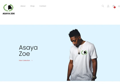 eCommerce Web Design for a Fashion Brand