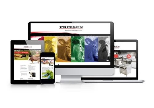 Web Design - Friesen Nutrition