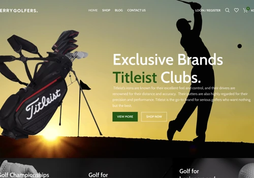 E-commerce website