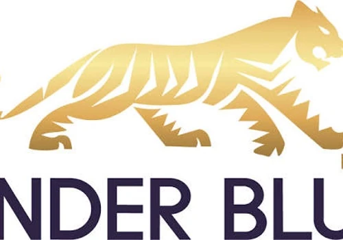 Under Blue online shop & marketing