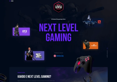 Next Level Gaming Branding & Web Design