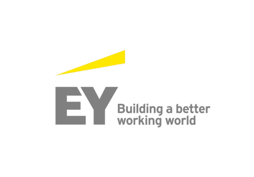 Ernst & Young Consulting