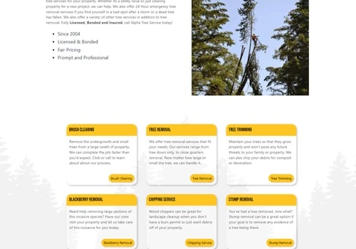 Web Design and SEO