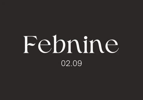 Febnine Website Design & Branding