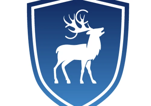 Cyber Chasse Staffing