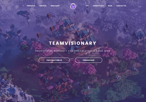 Team Visionary Website Updates and Maintenance
