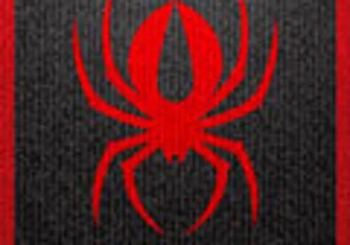 Project for Redback Boots