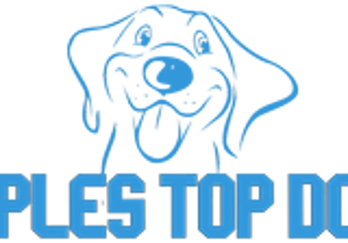 Naples Top Dogs
