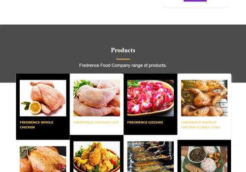 Fredrence coporate website