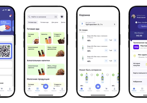 Asia Retail: Ecom Mobile App (e-Grocery)